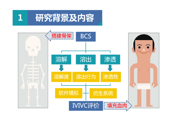 北京市药品检验所-王琳-ppt-7.gif