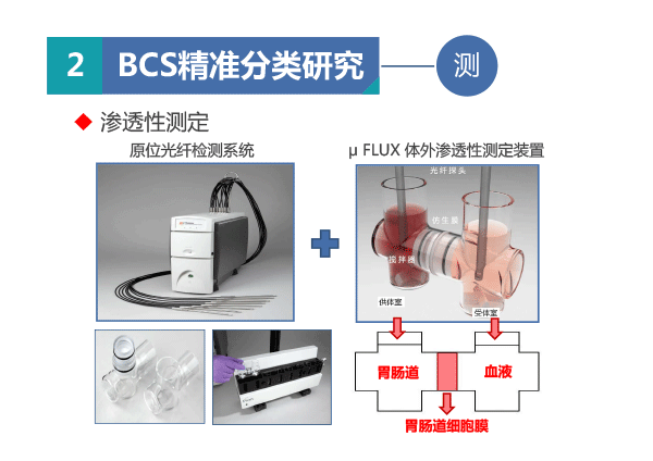 北京市药品检验所-王琳-ppt-13.gif