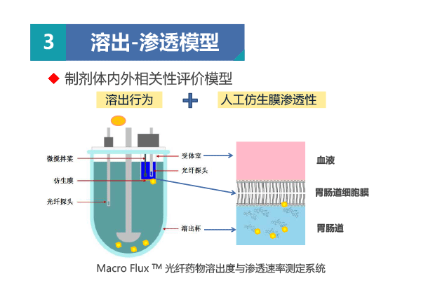 北京市药品检验所-王琳-ppt-20.gif