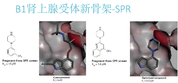FBDD在靶点药物中的应用（2018北京药学会）-25.gif