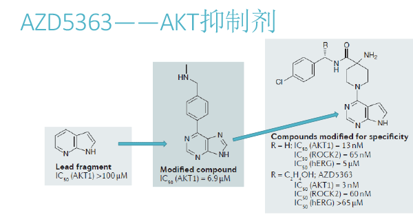 FBDD在靶点药物中的应用（2018北京药学会）-24.gif