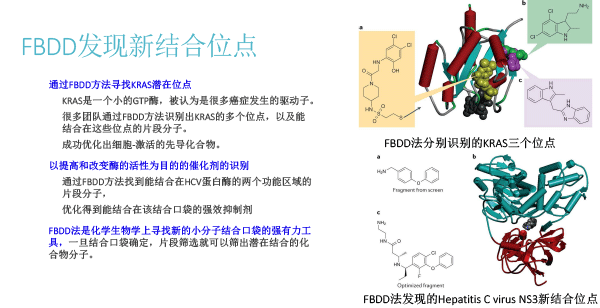 FBDD在靶点药物中的应用（2018北京药学会）-23.gif