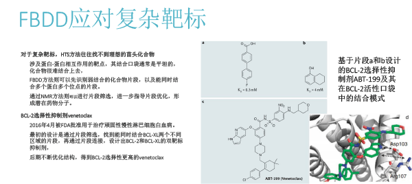 FBDD在靶点药物中的应用（2018北京药学会）-22.gif