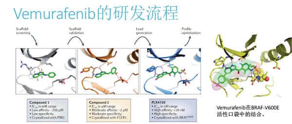 FBDD在靶点药物中的应用（2018北京药学会）-21.gif