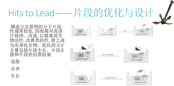 FBDD在靶点药物中的应用（2018北京药学会）-19.gif