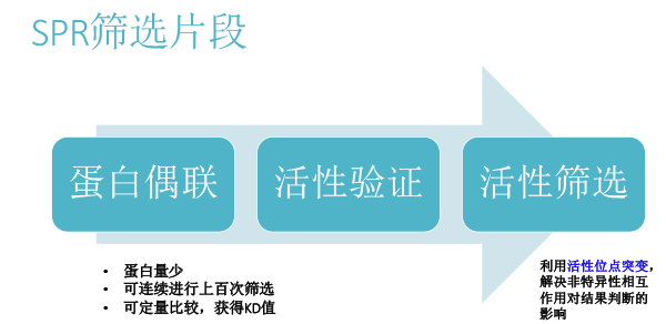 FBDD在靶点药物中的应用（2018北京药学会）-12.gif