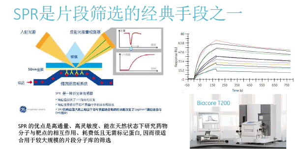 FBDD在靶点药物中的应用（2018北京药学会）-11.gif