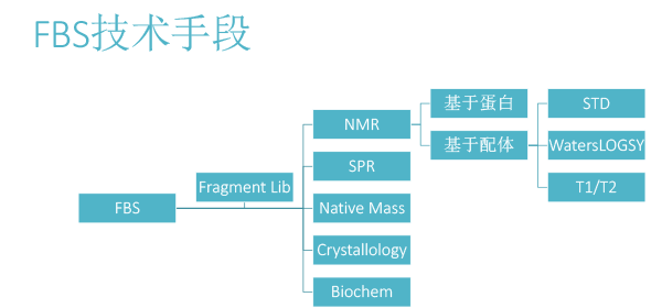 FBDD在靶点药物中的应用（2018北京药学会）-6.gif