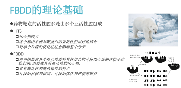 FBDD在靶点药物中的应用（2018北京药学会）-4.gif