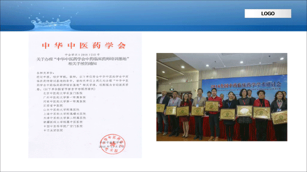 中药临床药师基本技能-13.gif