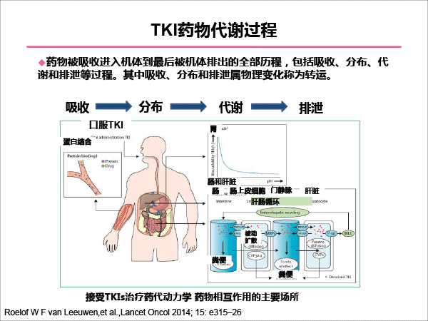 靶向药物的合理使用-11.gif