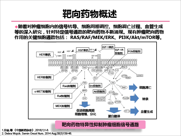靶向药物的合理使用-9.gif