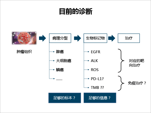 张树才-肿瘤免疫治疗的发展与价值-最终修改-33.gif