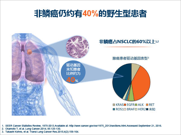 张树才-肿瘤免疫治疗的发展与价值-最终修改-16.gif