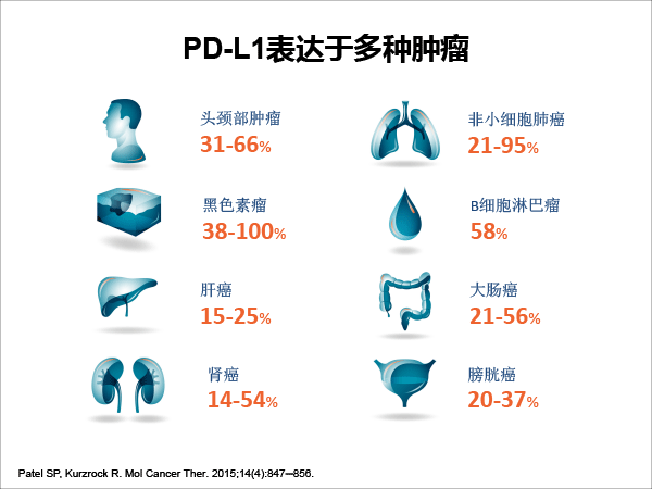 张树才-肿瘤免疫治疗的发展与价值-最终修改-11.gif