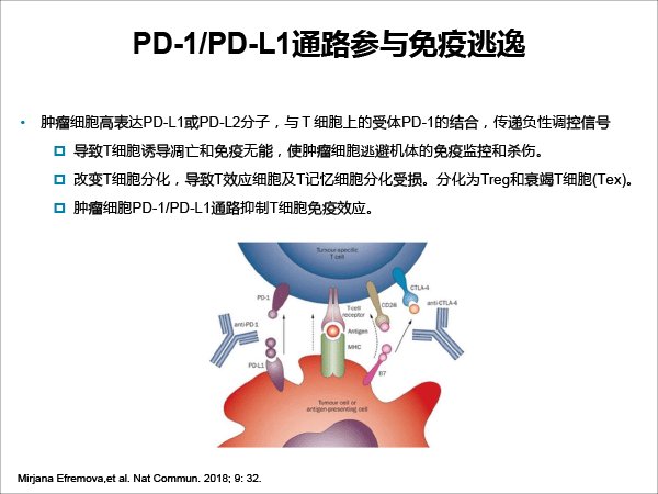 张树才-肿瘤免疫治疗的发展与价值-最终修改-10.gif