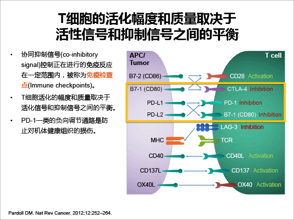 张树才-肿瘤免疫治疗的发展与价值-最终修改-9.gif