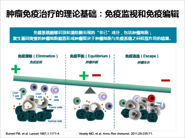 张树才-肿瘤免疫治疗的发展与价值-最终修改-6.gif