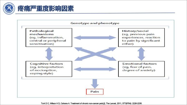 疼痛治疗的合理用药——冯艺1213-33.gif