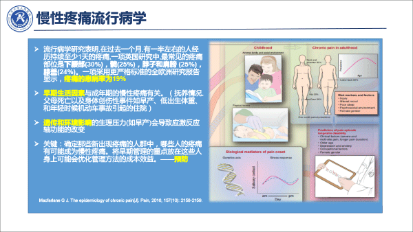 疼痛治疗的合理用药——冯艺1213-31.gif