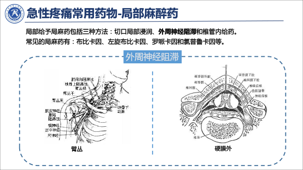 疼痛治疗的合理用药——冯艺1213-25.gif