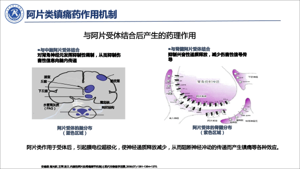 疼痛治疗的合理用药——冯艺1213-16.gif