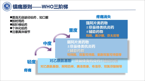 疼痛治疗的合理用药——冯艺1213-10.gif