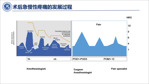 疼痛治疗的合理用药——冯艺1213-9.gif