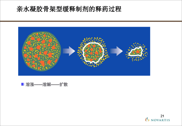 创建临床药剂学学科的思考-孙路路-21.gif