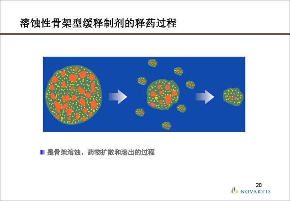 创建临床药剂学学科的思考-孙路路-20.gif