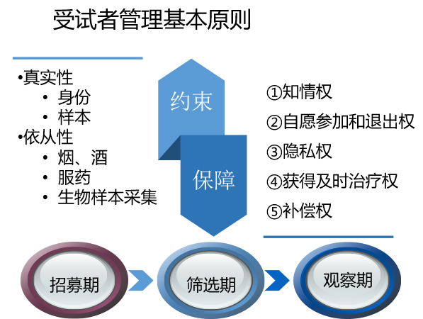 以精细化工作表格为抓手-提高BE试验过程的严谨性-王美霞-12.jpg