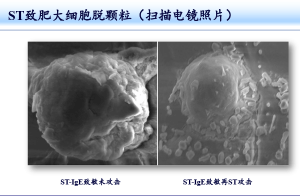 齐云-2018北京药学年会-59.gif