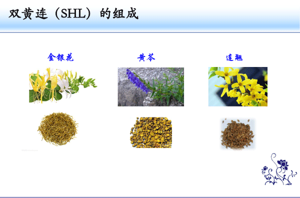 齐云-2018北京药学年会-2.gif