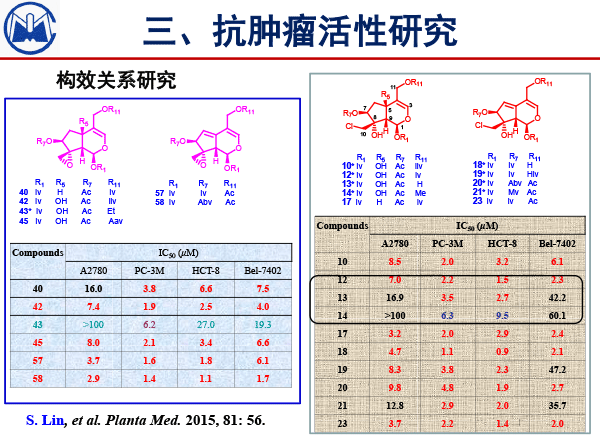 林生-17.gif