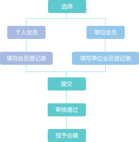 注册流程